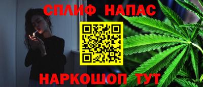 дживик Славгород